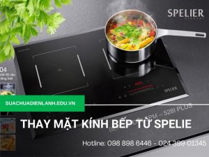 Thay mặt kính bếp từ Spelie