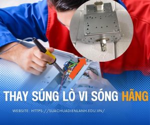 Thay súng lò vi sóng